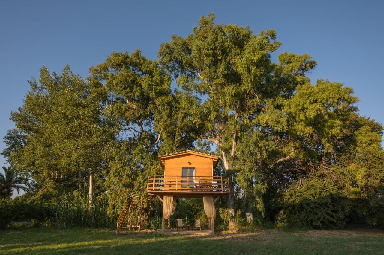 River Treehouse Лаганас Екстериор снимка